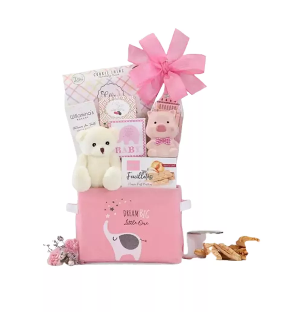 New Moms Charming Gift Basket
